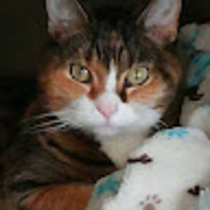 Meet your Posher, Audrey